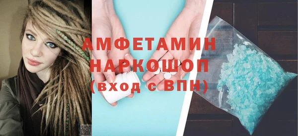 сатива Новозыбков