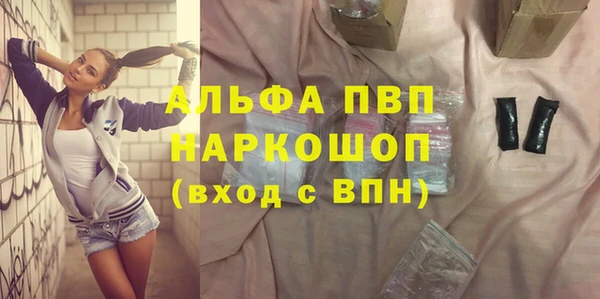 амф Новодвинск