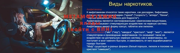 сатива Новозыбков