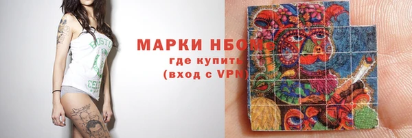 сатива Новозыбков