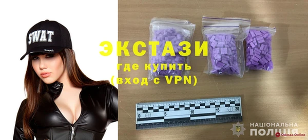 сатива Новозыбков