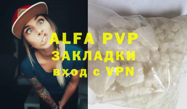 амф Новодвинск