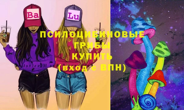 амф Новодвинск