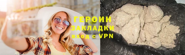 сатива Новозыбков