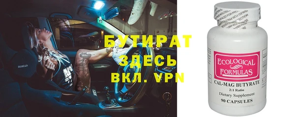 сатива Новозыбков