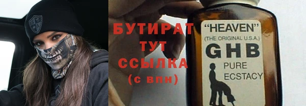 сатива Новозыбков