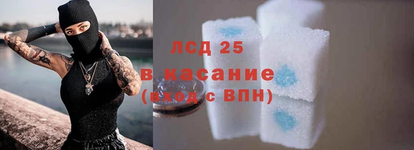 сатива Новозыбков