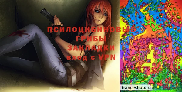 сатива Новозыбков