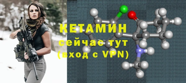 сатива Новозыбков