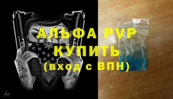 сатива Новозыбков
