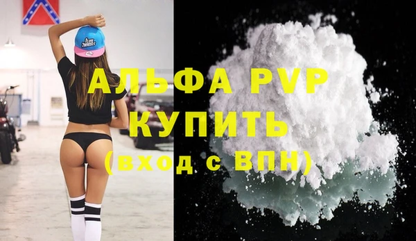 амф Новодвинск