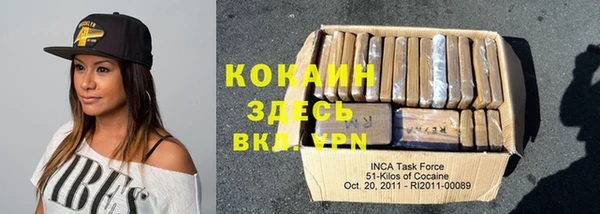 сатива Новозыбков