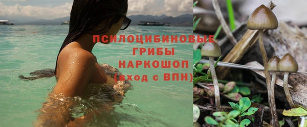 амф Новодвинск