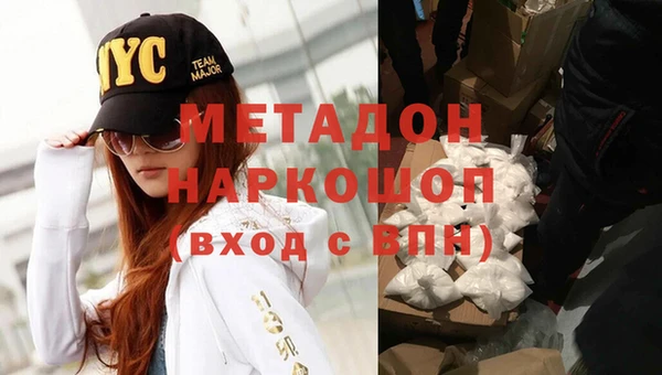 сатива Новозыбков