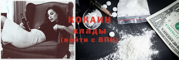 сатива Новозыбков
