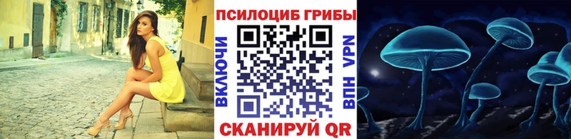 Псилоцибиновые грибы Psilocybe  дарнет шоп  Струнино 